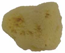 SILK SPONGE NATURAL #3 (2-1/2-3") EACH TM474