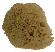 ROCK ISLAND SPONGE NATURAL APX 4-5" EACH TM471