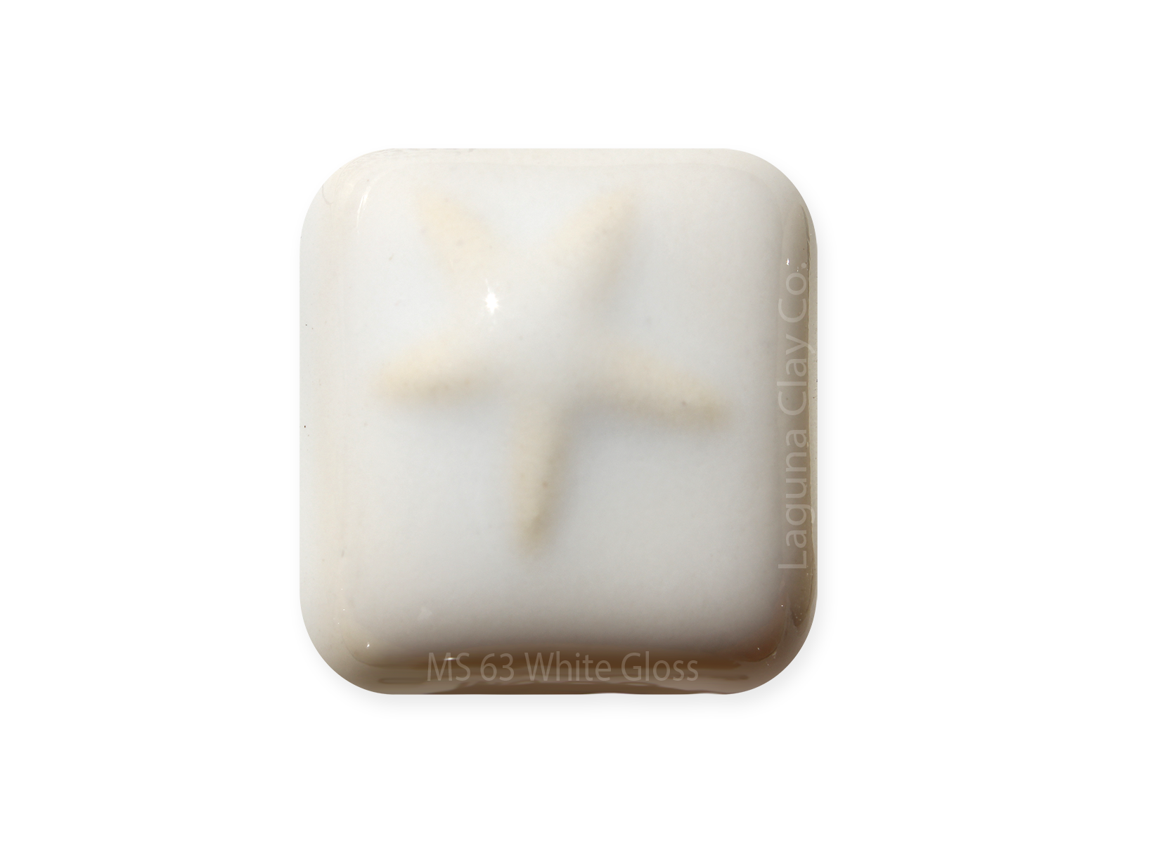 MS-63 WHITE GLOSS GLAZE-Dry