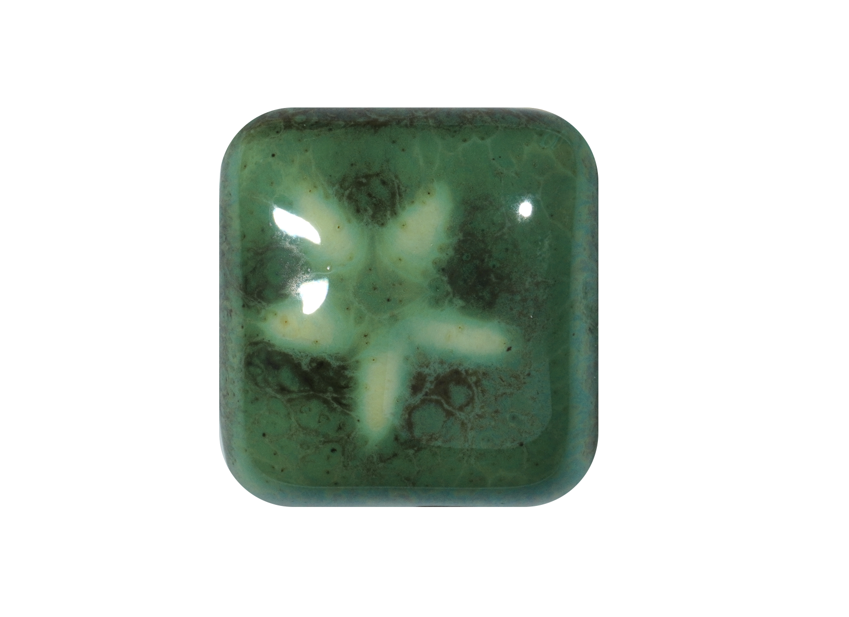 RG-2 MONSTERA ^5 GLAZE