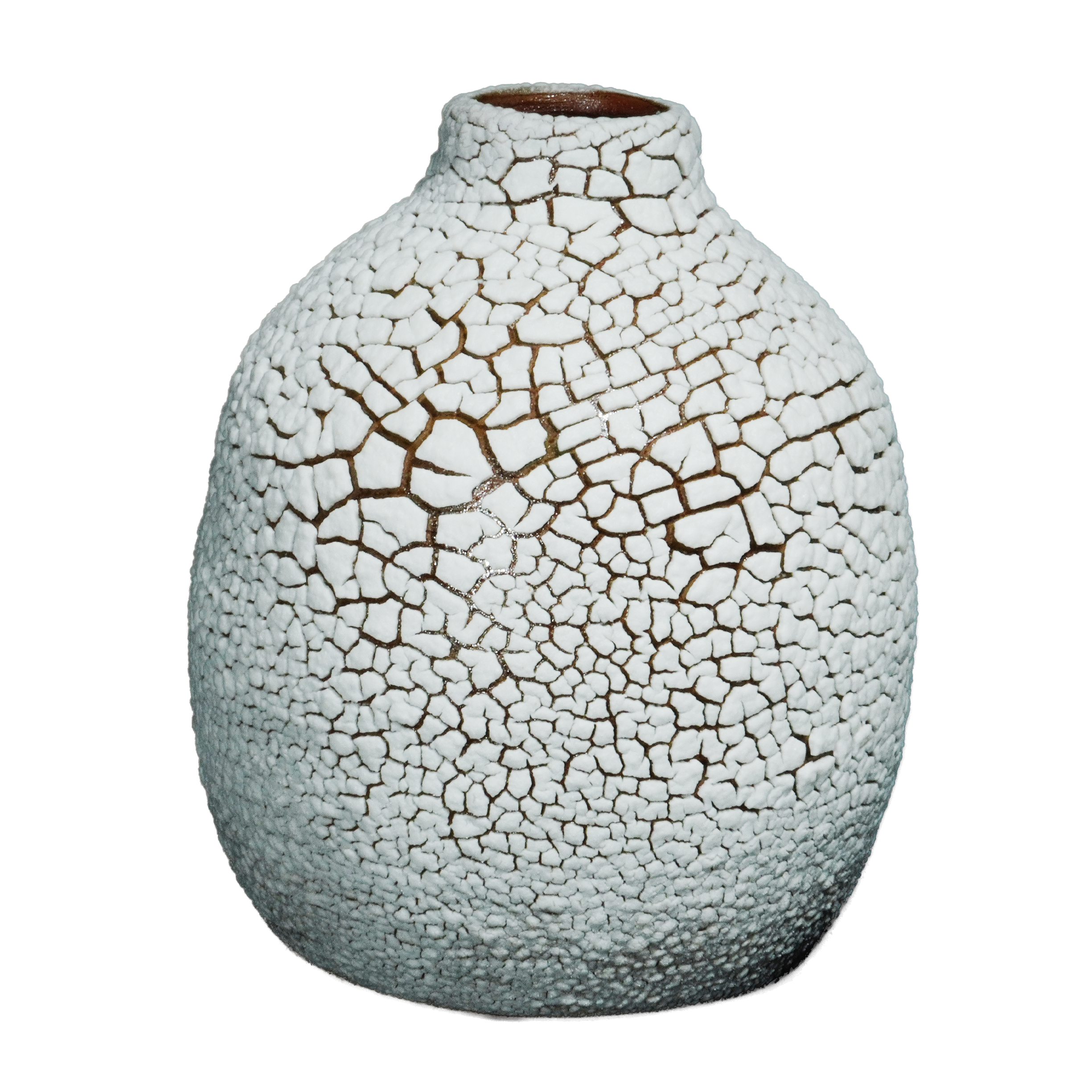 DL-100 DRY LAKE FOSSIL WHITE GLAZE