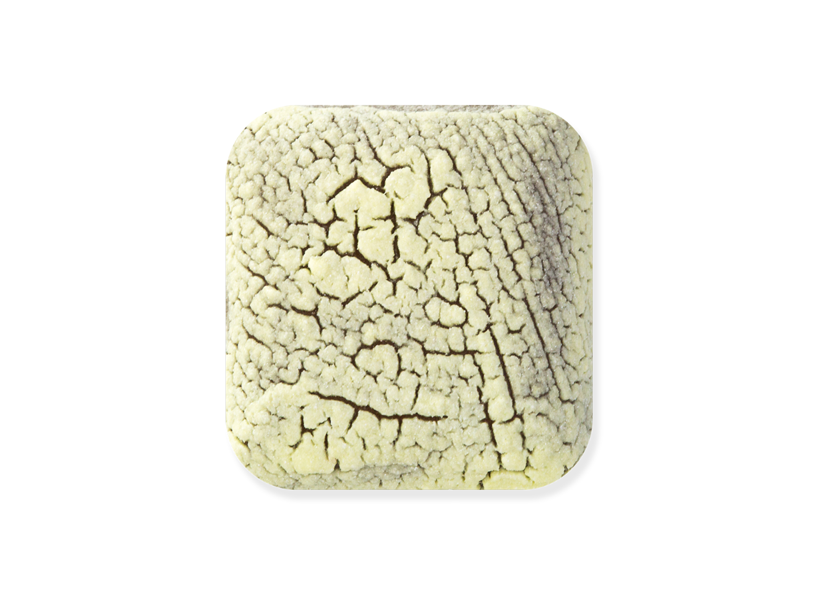 DL-110 DRY LAKE SULFUR VENT YELLOW GLAZE