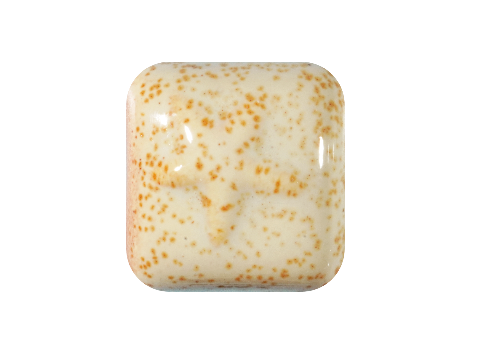 RG-1 MUSHROOM ^5 GLAZE-Dry